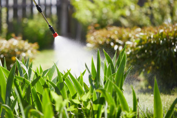 24/7 Emergency Wasp Removal experts in West Terre Haute, IN