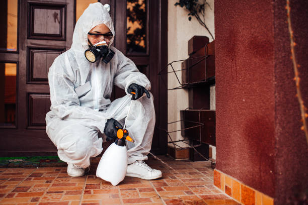 Reliable Wasp Removal contractor in West Terre Haute, IN by Show Me Pest Control