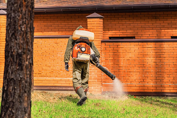 Top rated local Wasp Removal specialists in West Terre Haute, IN